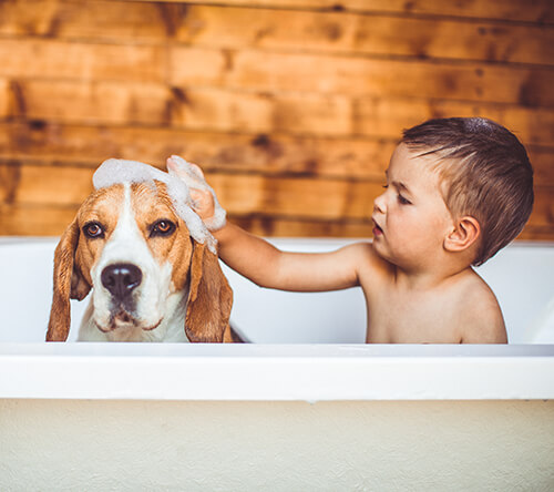 Charlotte Indoor Air Quality Services